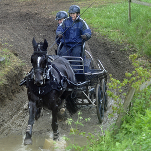 2010 Competition 1